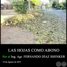 LAS HOJAS COMO ABONO - Ing. Agr. FERNANDO DAZ SHENKER - 19 de Agosto de 2015